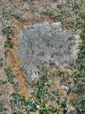 image of grave number 377709
